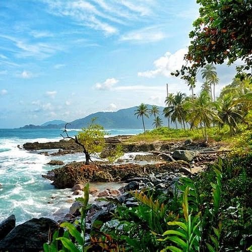 76bce0991bcee9d48ab7a3bf41c54993