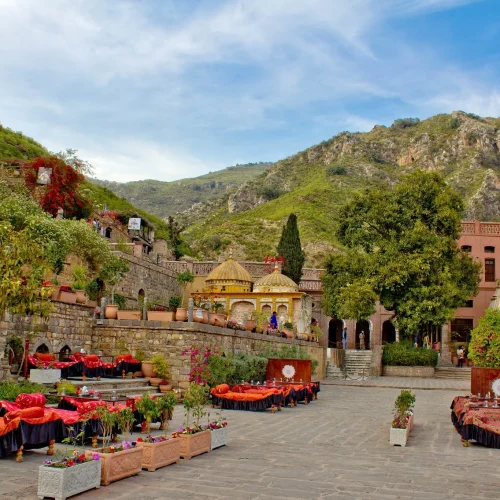 XF_L4gLEWF92hxiT_TuWpCgns_C0bv5OqWpqYmrnvug-500x500